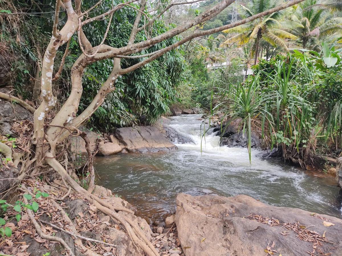 Riverbench Homestay Munnar, Anaviratty Eksteriør bilde