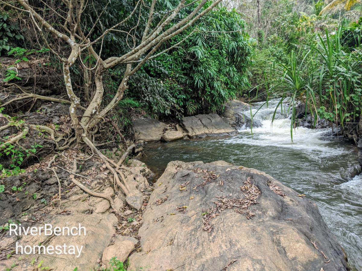 Riverbench Homestay Munnar, Anaviratty Eksteriør bilde