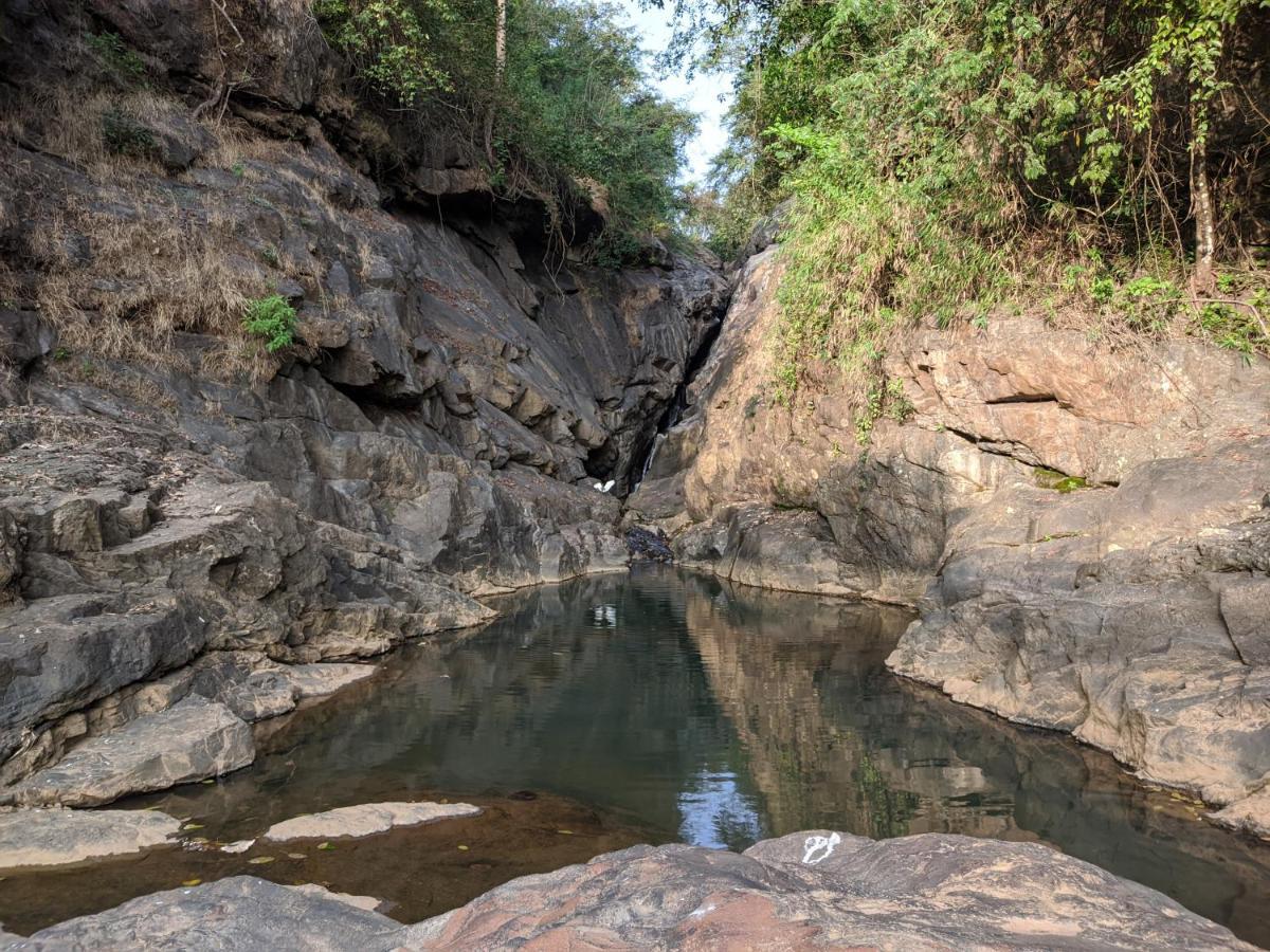 Riverbench Homestay Munnar, Anaviratty Eksteriør bilde