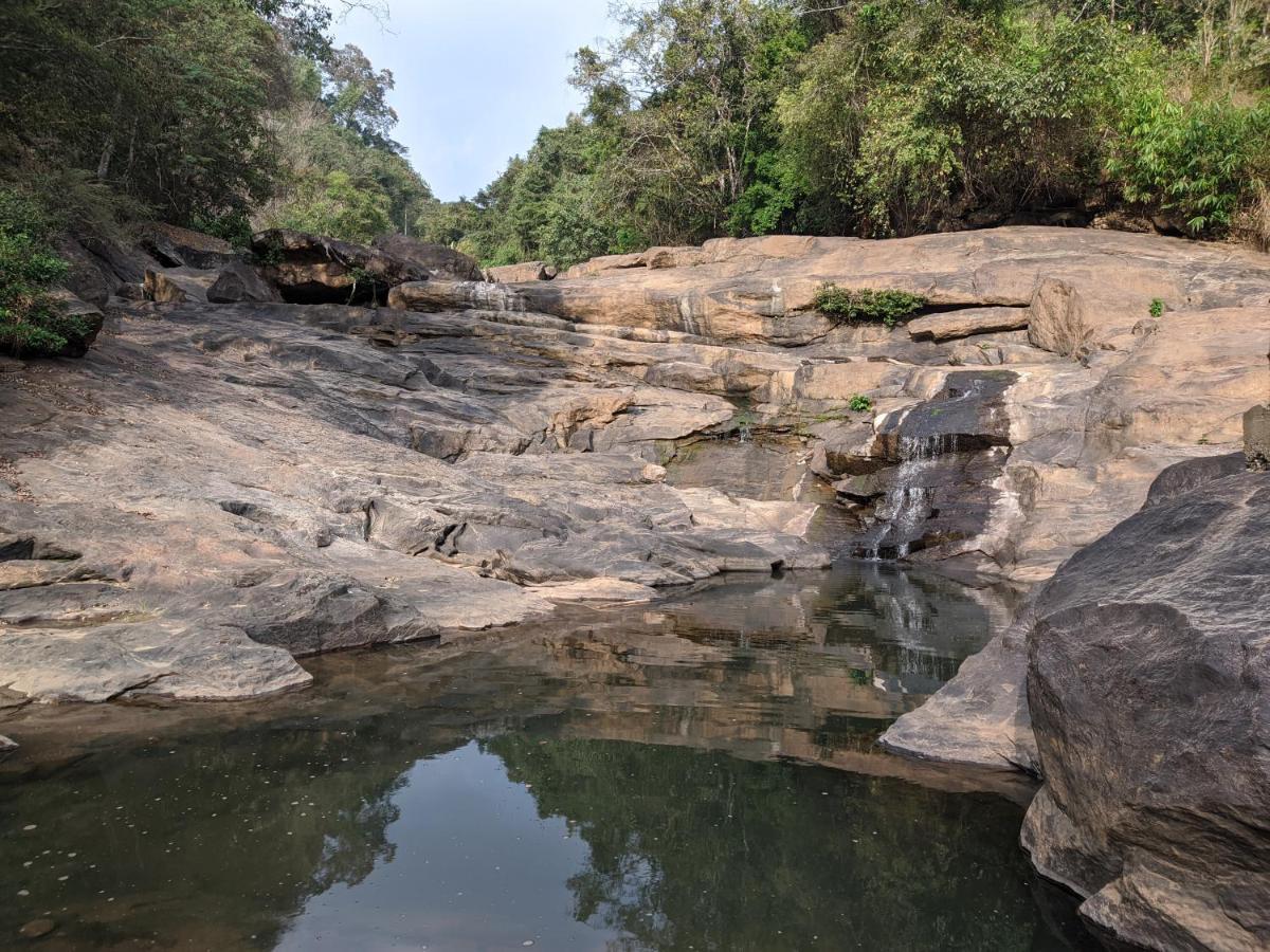 Riverbench Homestay Munnar, Anaviratty Eksteriør bilde