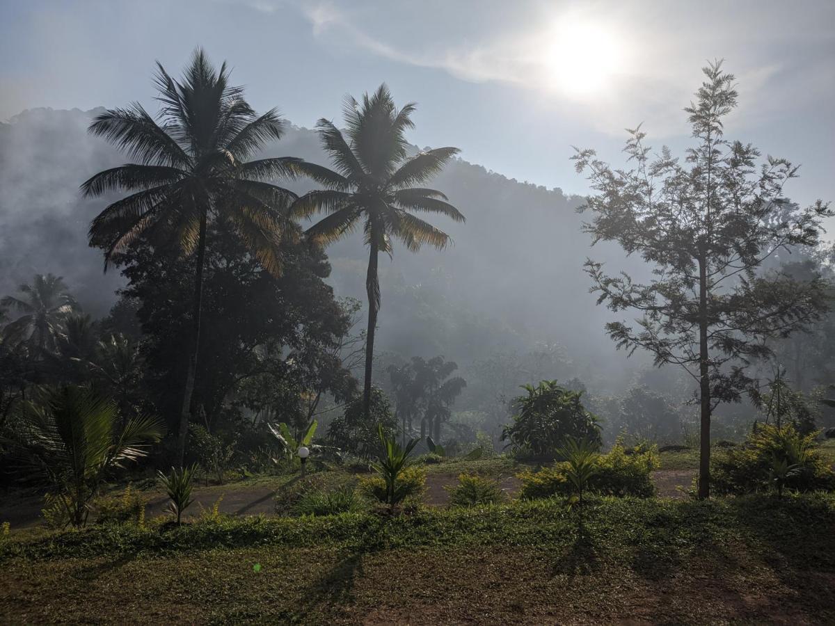 Riverbench Homestay Munnar, Anaviratty Eksteriør bilde