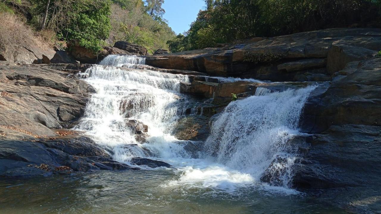 Riverbench Homestay Munnar, Anaviratty Eksteriør bilde