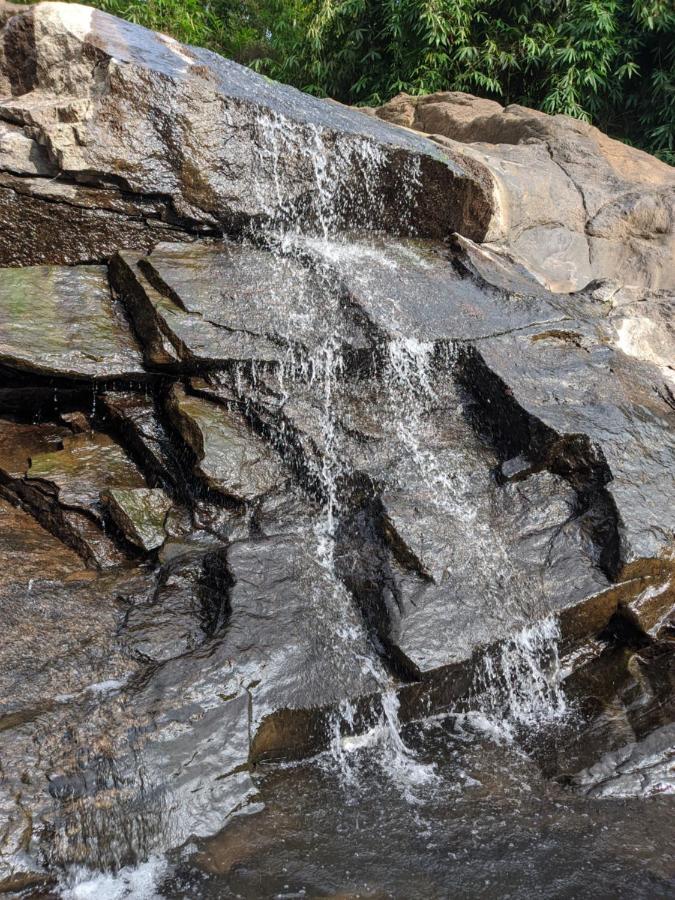 Riverbench Homestay Munnar, Anaviratty Eksteriør bilde