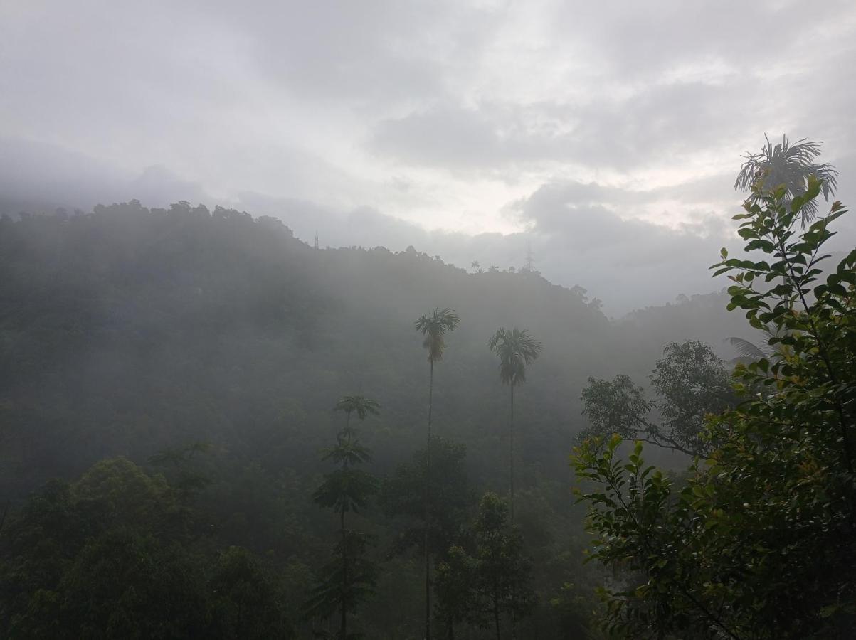 Riverbench Homestay Munnar, Anaviratty Eksteriør bilde