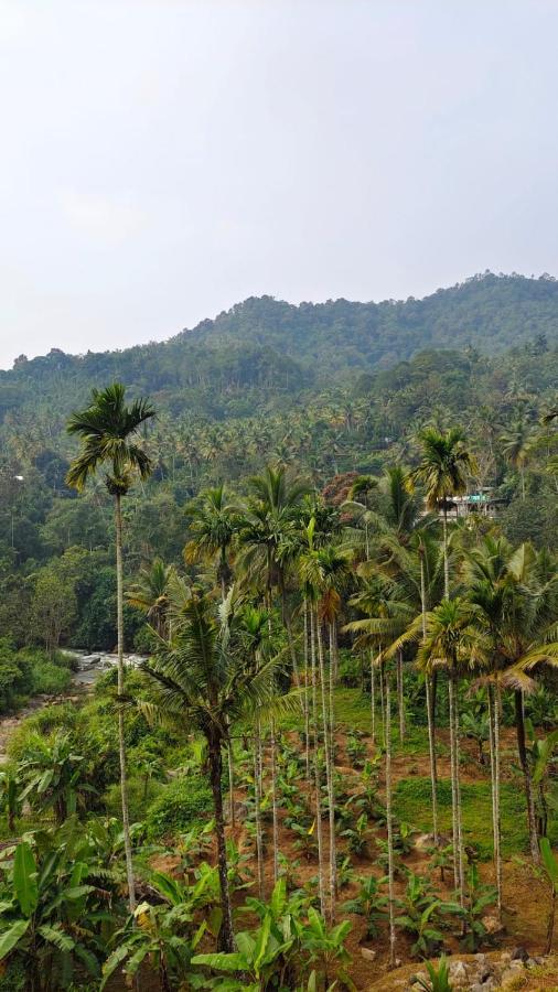 Riverbench Homestay Munnar, Anaviratty Eksteriør bilde