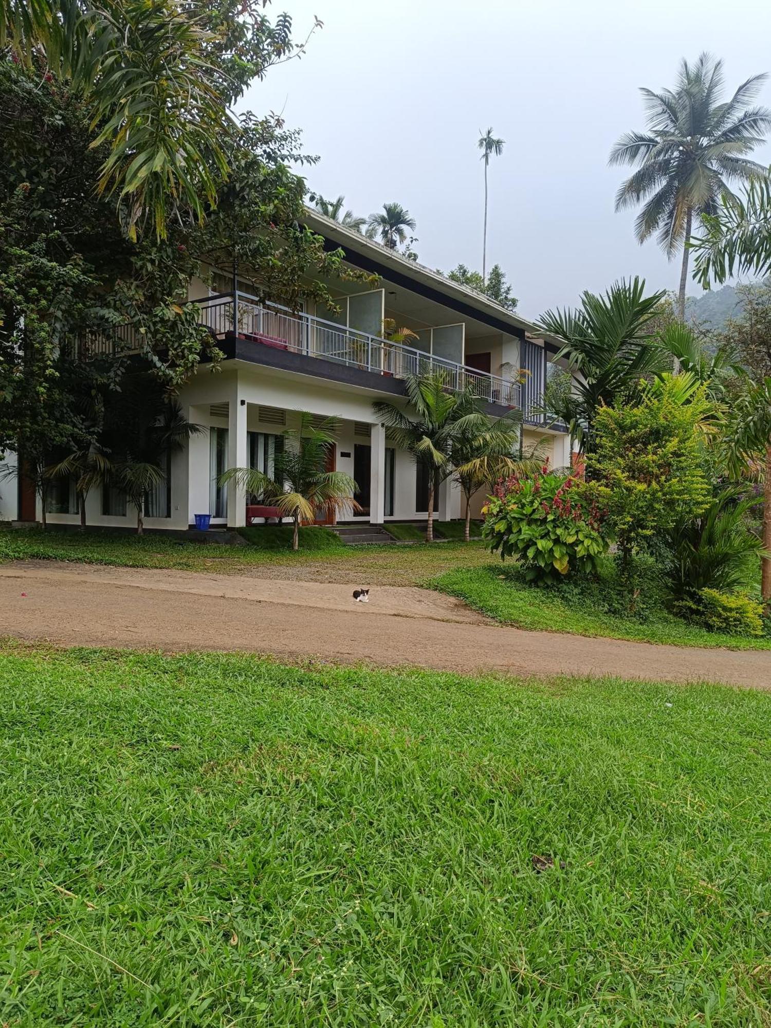 Riverbench Homestay Munnar, Anaviratty Eksteriør bilde