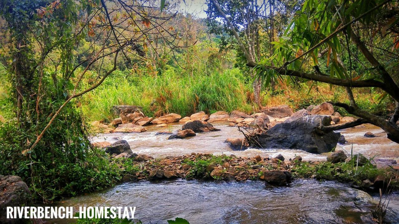 Riverbench Homestay Munnar, Anaviratty Eksteriør bilde